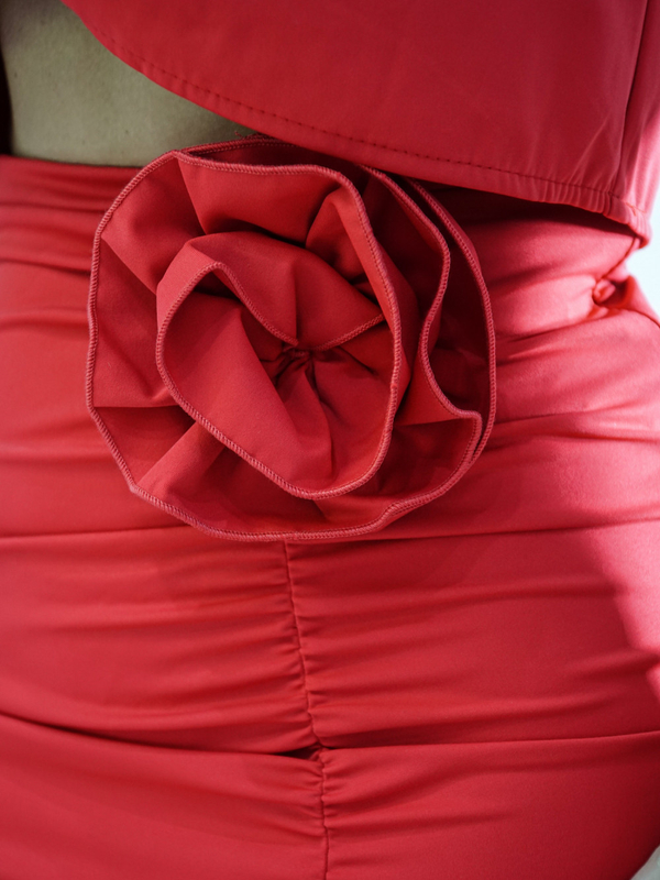 CHICA red set